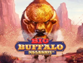 game logo by Skywind Group on herculescasino.eu